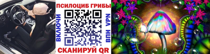 купить наркотики сайты  блэк спрут ссылка  Галлюциногенные грибы Cubensis  Фрязино 
