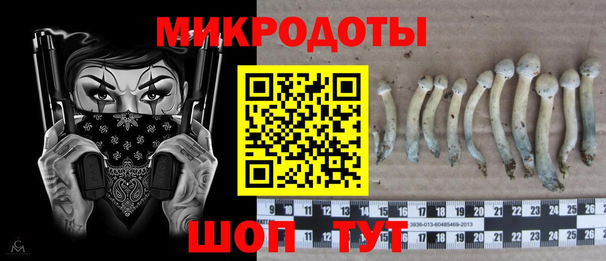 Псилоцибиновые грибы GOLDEN TEACHER Фрязино